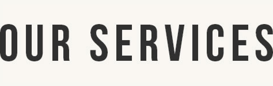 services section header