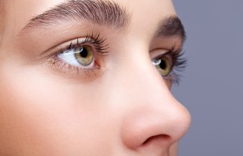 Closeup shot of female face makeup